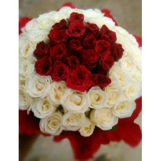 Beautiful arrangement of white and red roses Online flower delivery in Jaipur Delivery Jaipur, Rajasthan